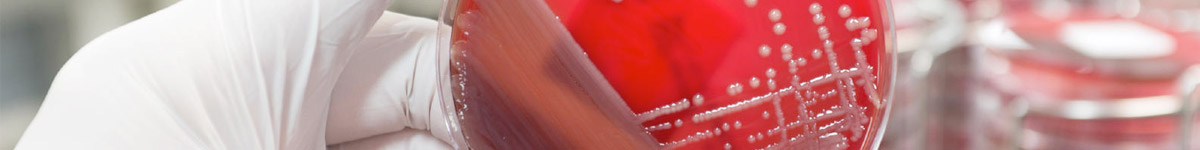 Microbiology
